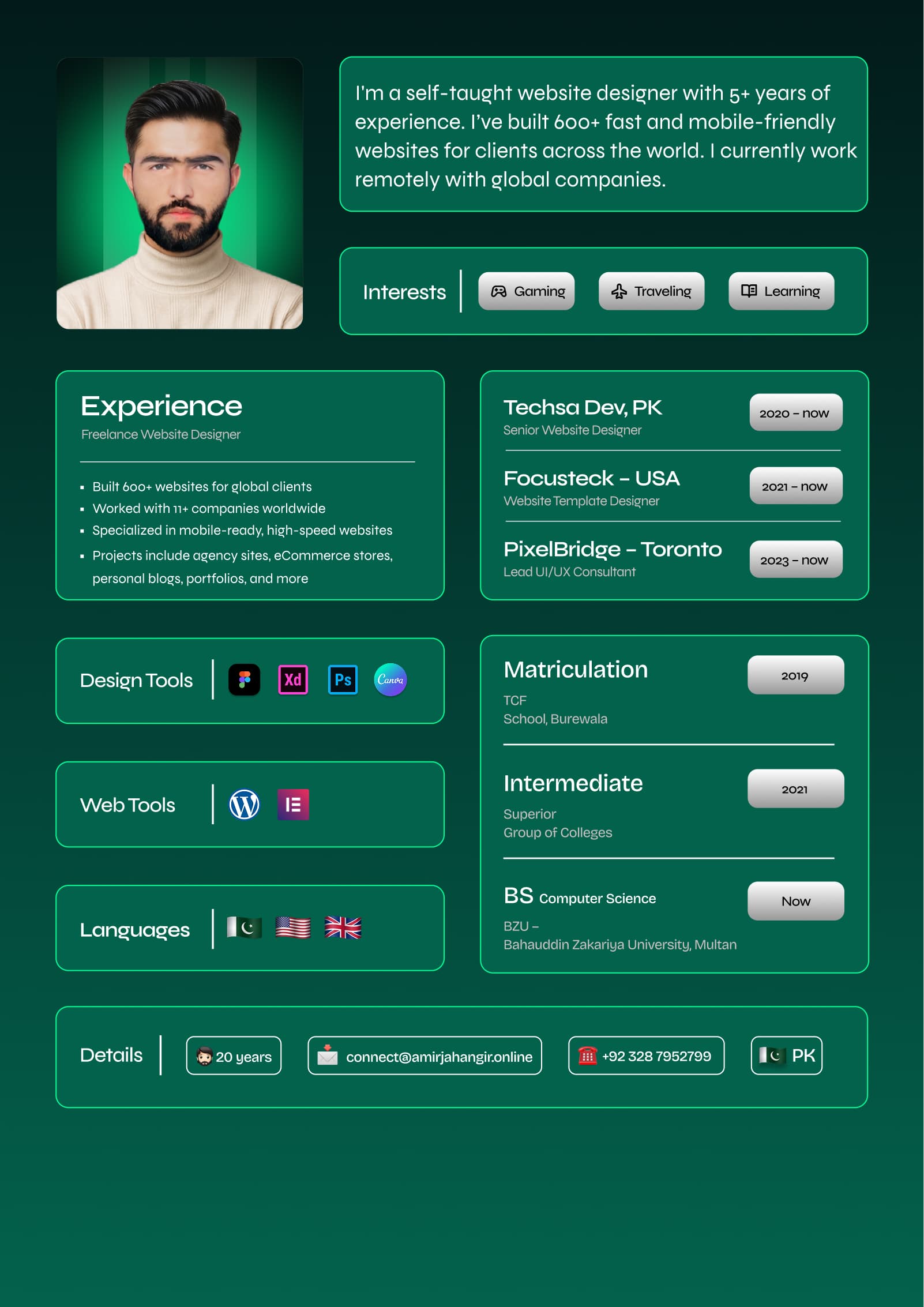Muhammad Amir — Professional CV